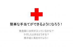 2019こども用　ボーイスカウト救急箱中身-2