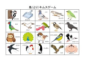 鳥(キムス＆カード）-2