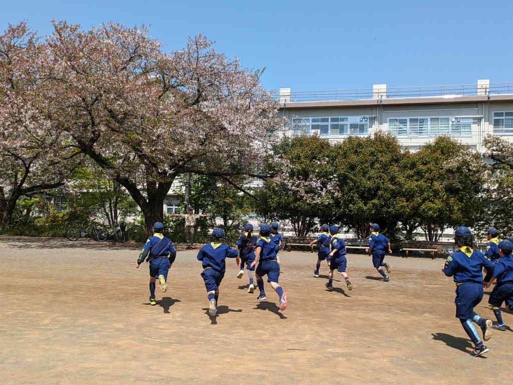 【カブ】隊集会（基礎訓練①）