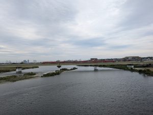 PXL_20250428_035001485