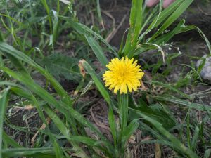 PXL_20250428_040021805.MP