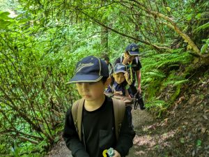 PXL_20250601_005403504