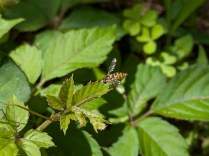 PXL_20250607_044350072