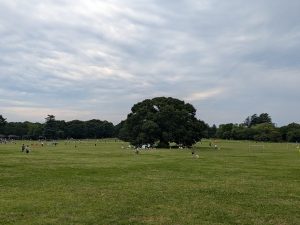 PXL_20250607_063108401