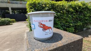 PXL_20250629_020210943
