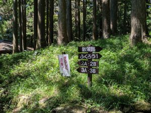PXL_20250726_005730273