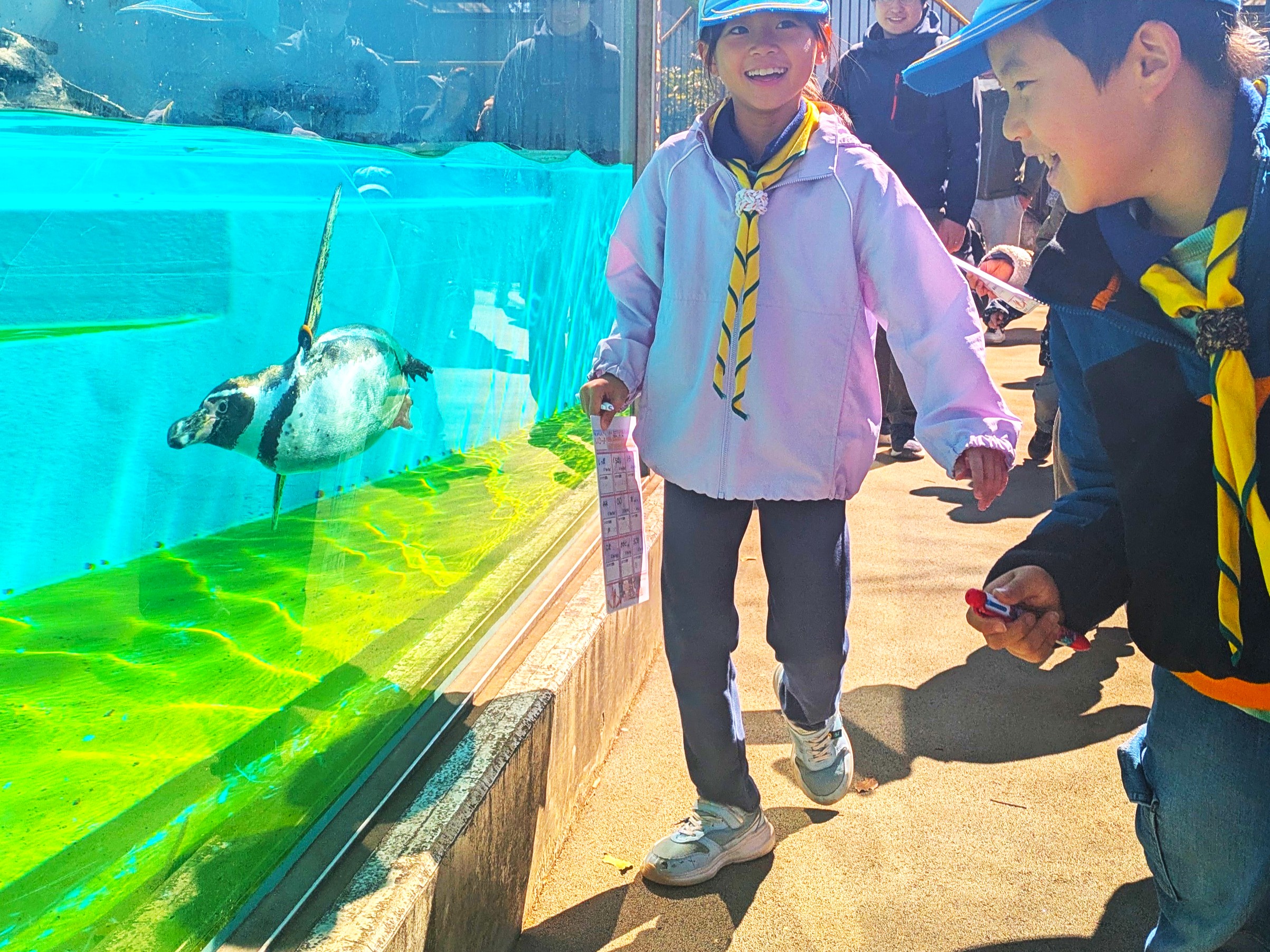 【ビーバー】どうぶつかんさつ～夢見が崎動物公園～