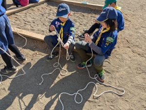 PXL_20260118_023735532.MP