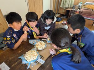 PXL_20260201_023124462.MP