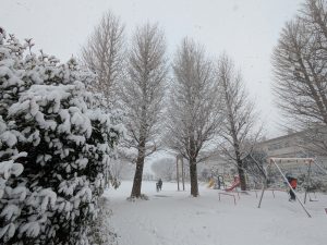 PXL_20260208_002302937