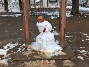 PXL_20260208_035038126