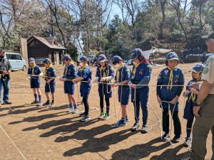 PXL_20260301_031914881.MP