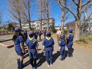 PXL_20260315_024903978.MP